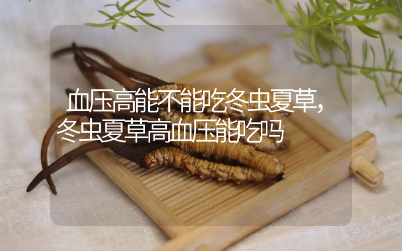 血壓高能不能吃冬蟲(chóng)夏草，冬蟲(chóng)夏草高血壓能吃嗎？