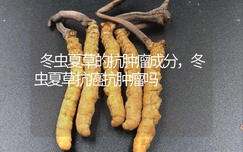 冬蟲夏草的抗腫瘤成分，冬蟲夏草抗癌抗腫瘤嗎？